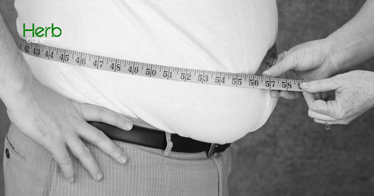 Herbs for Obesity